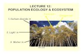 LECTURE 12: POPULATION ECOLOGY & ECOSYSTEM...– boreal forest (=hutan cemara) – temperate rainforest – temperate deciduous forest – temperate grasslands – Chaparral (=vegetasi