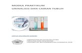MODUL PRAKTIKUM URINALISIS DAN CAIRAN TUBUHrepository.um-surabaya.ac.id/4827/1/MODUL_URANILISI_CARTUB.pdf · kuliah praktek kimia klinik sebagaimana yang diharapkan oleh kurikulum