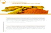 Revista Brasileira de Nutrição Clínica Funcional - ano , n,portal.vponline.com.br/pdf/6b7cfcab701afeeb7e0f4701b5c5920b.pdf · quinase A (PKA), proteína quinase B (PKB) e proteína