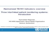 Harmonized TB/HIV indicators: overview Three interlinked patient … · HIV care/ART, MCH/PMTCT and TB/HIV Version 2 (2009): – Harmonized indicators for national/international reporting