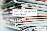 How Does A Paper Mill Make Paper? - Studyladder...Paper Making Paper is made from wood. The timber industry provides the paper making industry with wood. A factory that makes paper