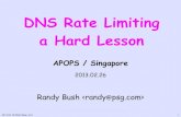 DNS Rate Limiting a Hard Lesson - APNIC · DNS Rate Limiting a Hard Lesson APOPS / Singapore 2013.02.26 Randy Bush  2013.02.16 DNS Rate Limit 1
