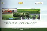 Kementerian Pertanian · PDF file Penamaan VUB padi hibrida untuk ekosistem sawah irigasi memakai nama Inpari (inbrida padi irigasi), ekosistem rawa memakai nama Inpara (inbrida padi