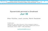 Dynamická pevnost a životnost JurIII - cvut.czmechanika.fs.cvut.cz/content/files/DPZ/2017/DPZ_Jur_2017...deformační energie AŽ NA ZNAMÉNKO. Grafické znázornění energetické