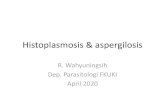Histoplasmosis & aspergilosisrepository.uki.ac.id/2381/1/HistoplasmosisdanAspergilo... · 2020. 9. 1. · Histoplasmosis •Penyakit yang disebabkan oleh jamur: –Histoplasma capsulatum