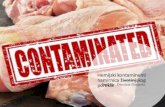 Hemijski kontaminenti namirnica životinjskog porekla Prof. Dr … · 2020. 3. 25. · mesa svinja kojima je davan antibiotik ciprofloksacin. FDA procenjuje da je davanje antibiotika