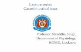 Lecture series Gastrointestinal tract...•The submandibular gland is about half the size of the parotid gland • It lies above the mylohyoid in the floor of the mouth. It opens into