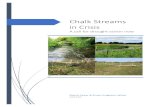 Chalk Streams in Crisis - Wild Trout Trust · knotweed. Our chalk streams are in crisis. Chalk streams can be found across the East and South East of England, from Dorest, Wiltshire