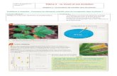 WordPress.com  · Web view2019. 3. 21. · Fiche de travail n°4 – Niveau 5ème . Thème 2 – Le vivant et son évolution. Chapitre 2 : Les fonctions de nutrition chez les plantes.