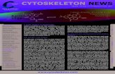 CYTOSKELETON NEWS - fnkprddata.blob.core.windows.net · Dynamic remodeling of the actin cytoskeleton [i.e., rapid cycling between filamentous actin (F-actin) and monomer actin (G-actin)]