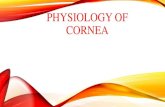 PHYSIOLOGY OF CORNEAcourseware.cutm.ac.in/wp-content/uploads/2020/06/physiologyofcor… · PHYSIOLOGY OF CORNEA. GROSS ANATOMY Cornea is highly transparent structure. Form ant.1/6th