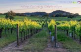 Wine Country Celebration - OnlineAgency · 2020. 6. 12. · Drive to Napa Valley Check in to resort Remainder of afternoon at leisure 7:00 p.m. Dinner at resort. MONDAY Breakfast