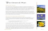 The General Plan - ScottsdaleAZ · General Plan was developed, References and Resources, Demographic Data, a Governance chapter and an Implementation Section. The Reference Guide