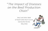 “The Impact of Diseases on the Beef Production Chain” · 2016. 6. 2. · F. Enjalbert., The Relationship between trace elements status an health of calves., Revue Med Vet, 2009.