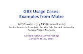 GBS Usage Cases: Examples from Maize - Cornell Universitycbsu.tc.cornell.edu/lab/doc/GlaubitzGBSWrkshpUsageCases...2014/01/27  · GBS Usage Cases: Examples from Maize Jeff Glaubitz