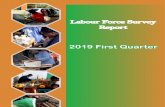 Labour Force Survey Report - ZamStats - Home...Labour Force Survey (QLFS) in 2017 to monitor key labour market indicators. The QLFS is a household-based survey designed to be conducted