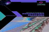 MERCADO DE TRABALHO DA AGROPECUÁRIA AGOSTO ......nhamento da situação do mercado de trabalho da agropecuária no Brasil, com foco em entender os potenciais efeitos da co-vid-19