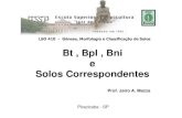 Bt , Bpl , Bni e Solos Correspondentes€¦ · LSO 410 - Gênese, Morfologia e Classificação de Solos Prof. Jairo A. Mazza Bt , Bpl , Bni e Solos Correspondentes Piracicaba - SP