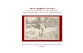 1 Transmutatio project originali - lingue.unibo.it indo-mediterranei/Transmutatio project.pdf · psychologie des profondeurs en particulier (C. G. Jung) - lʼidée de transmutation