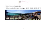 Schoolgids Caleidoscoop 2018-2019 · Passend Onderwijs–samenwerkingsverband de Meierij 23 3. Gedragsregels 23 4. Leerplicht 23 5. Groepssamenstelling 23 Hoofdstuk 4 Leerlingenzorg