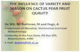THE INFLUENCE OF VARIETY AND SEASON ON CACTUS PEAR … variety and... · •The adaptation of cactus pear (Opuntia ficus-indica) to arid and semi-arid climates allows them to be an