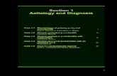 SSection 1ection 1 AAetiology and Diagnosisetiology and ......SSection 1ection 1 AAetiology and Diagnosisetiology and Diagnosis Case 1.1 Microbiology of primary periapical periodontitis