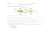 Biology 20 – Photosynthesis worksheet · Web viewBiology 20 – Photosynthesis worksheet Last modified by WODOCK, LAURA Company Strathmore High School ...