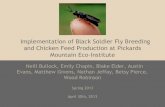 Implementation of Black Soldier Fly Breeding and Chicken ......House flies and blow flies o Oviposition prevention o Larval competition 9 . Project Planning: PMEI Visit ... Advisors: