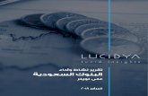 lucidya.com · 2020. 7. 2. · Banque Saudi Fransi . Banque bank 'HELP . orison break seconds "test 48.786 0MtCHELEMupo PrisonBreak . Lucid Insights SEE@LUCIDYA.COM Y f LUCIDYA .