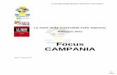 Focus CAMPANIA - WordPress.com...Tabella 3- GIRO D’AFFARI DEI REATI IN CAMPANIA ( al 30 giugno 2011 ) ITALIA CAMPANIA Tipologia Costi per i Commercianti Commercianti colpiti Costi
