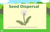 Seed Dispersal - Tudor Grange Primary Academy Yew Tree · 2020. 6. 1. · Seed dispersal also makes sure that one area doesnt become overcrowded. Almost all seeds are made inside