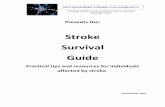 Stroke Survival Guide - Home Care Association of New Hampshire · 2016. 9. 8. · stroke may only have minor problems such as temporary weakness of an arm or leg. People who have