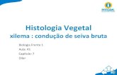 Histologia Vegetal - WordPress.com · Histologia Vegetal xilema : condução de seiva bruta Biologia Frente 1 Aula: 41 Capítulo: 7 Diler. A conquista dos continentes •Há cerca