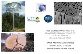TREE BIOMECHANICS AND THE TRANSITION FROM JUVENILE … · Data for Bagassa: ONF Guyane 2016 . Properties of tree building material (result of xylem maturation: fibre cell wall thickening)