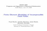Finite Element Modeling of Incompressible Fluid Flowspanm.math.cas.cz/Panm14/presentations/pondeli/BurdaPANM... · 2015. 3. 30. · PANM 2008 Programs and Algorithms of Numerical