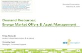 Demand Resources: Energy Market Offers & Asset Management · 2018. 2. 28. · RTU : remote terminal unit : DRWG : Demand resources working group : TMSR : ... • Update operational