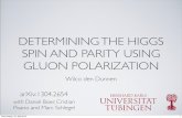 DETERMINING THE HIGGS SPIN AND PARITY USING GLUON POLARIZATION - ruhr-uni-bochum…lc2013/downloads/talks/... · 2013. 6. 6. · SM ﬁelds. The minimal coupling scenarios are well