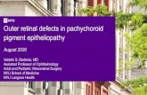 Outer retinal defects in pachychoroid pigment epitheliopathy · 2020. 11. 4. · Vaidehi S. Dedania, MD Assistant Professor of Ophthalmology Adult and Pediatric VitreoretinalSurgery