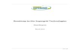 Roadmap to the Supergrid Technologies · 2013. 5. 13. · Introduction and Summary ... 2.3.4 Multi-terminal HVDC Systems.....43 2.3.4.1 DC grid topologies ... ALSTOM Grid, Mainstream,
