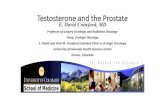 Testosterone and the Prostate · PDF file 2017. 11. 10. · Morgentaler A et al. JAMA.1996;276(23):1904-1906. Occult Cancer in Men With Low Testosterone •77 men with low total or
