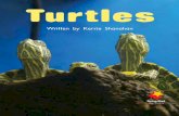 Turtles · Turtles 2013–2014 EC Licensing Pty Ltd. This work is protected by US copyright law, and under international copyright ... Purchasers of this book may have certain rights