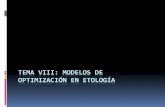 Modelos de optimización: herramientas imprescindibles en lafcen.uncuyo.edu.ar/catedras/tema-viii.pdf · 2020. 11. 22. · Existen diversos tipos de modelos de optimización. Estáticos