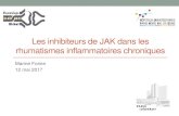 Les inhibiteurs de JAK dans les rhumatismes inflammatoires chroniquesrhumatologie-bichat.com/Cours2016_2017/FORIEN_2017.pdf · 2017. 5. 15. · Au total: baricitinib et PR ®Le baricitinib