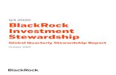 Q3 2020 BlackRock Investment Stewardship...BLACKROCK Investment Stewardship: 2020 Q3 Global Quarterly Report 4 o Of these, 215 are part of the S&P Global 1200 Index o This figure is