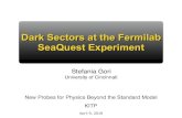 Dark Sectors at the Fermilab SeaQuest Experimentonline.itp.ucsb.edu/online/hepfront-c18/gori/pdf/Gori_HEPFront18Conf_KITP.pdfEven in more “pessimistic” scenarios, there is a lower