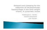 Kelebogile C. Seloka Oswell Khondowe Kim Harper cord clamping... · 2013. 10. 29. · Clamping of the umbilical cord during birth is by far the oldest and most common interventions