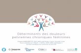 Déterminants des douleurs pelviennes chroniques féminines · The prevalence of dysmenorrhea, dyspareunia, pelvic pain, and irritable bowel syndrome in primary care practices. Obstet