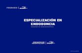 ESPECIALIZACIÓN EN ENDODONCIA€¦ · 4 ESECIAIACIN EN ENDODONCIA La Especialización en Endodoncia centra sus actividades en la clínica odontológica, en tanto que promueve la