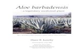 Hans Juneby - Aloe barbadensis · 2015. 9. 25. · diabetes drug Glibenklamid (Yongchaiyudha et al., 1996; Bunyapraphatsara et al., 1996). Fourty published clinical trials, in vitro