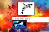 Etologia dell’Orcinus orcadocument.library.istella.it/user/514901bb1e7819330... · L’essere orca Etologia dell’Orcinus orca Daniel Azzarelli aa. 2012/2013